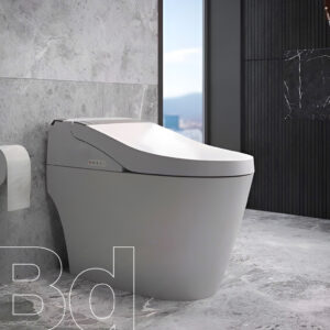 inodoro-funzionale-one-piece-amb