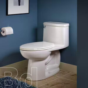White porcelain toilet with a closed lid in a blue bathroom, with a toilet paper roll on the wall and a framed picture above.