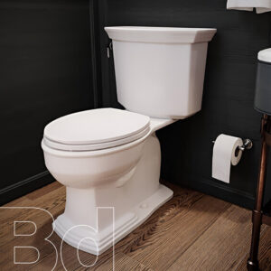 White porcelain toilet in a dark bathroom with wood floor and toilet paper on a wall holder; 30 watermark in the corner.